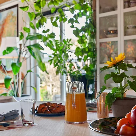 Klara Homestay szállás